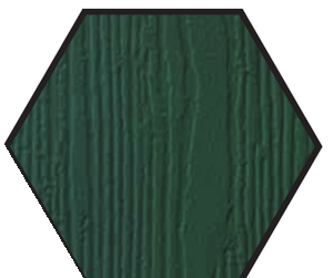 Green RAL 6009 composite door colour swatch